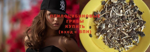СК Зеленокумск