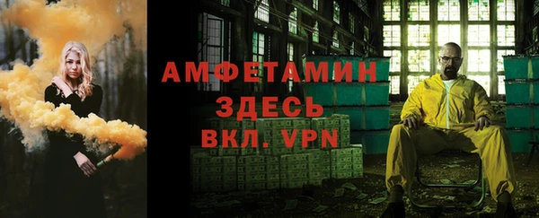 стаф Каменка