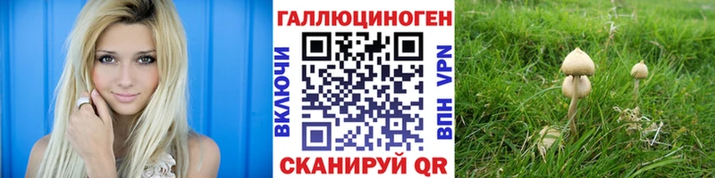 Купить  Ревда  Галлюциногенные грибы MAGIC MUSHROOMS 